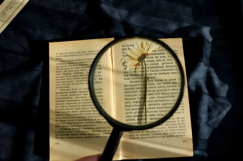 Doctor of Nothing, Professor of Everything: A Field Guide to the Internet's Most Magnificent Useless Experts
